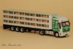 miniature_iveco_fabio_riccardi
