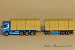 miniature_iveco_fabio_riccardi