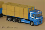 miniature_iveco_fabio_riccardi