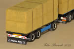 miniature_iveco_fabio_riccardi