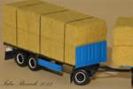 miniature_iveco_fabio_riccardi